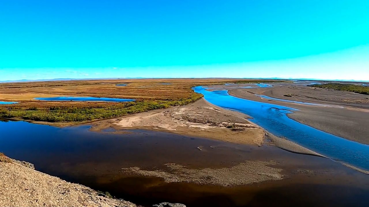 путешественникдв.рф