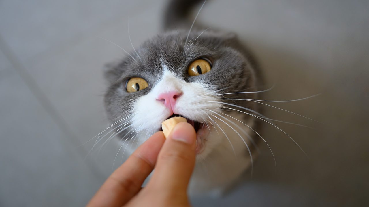 chendongshan / Getty Images