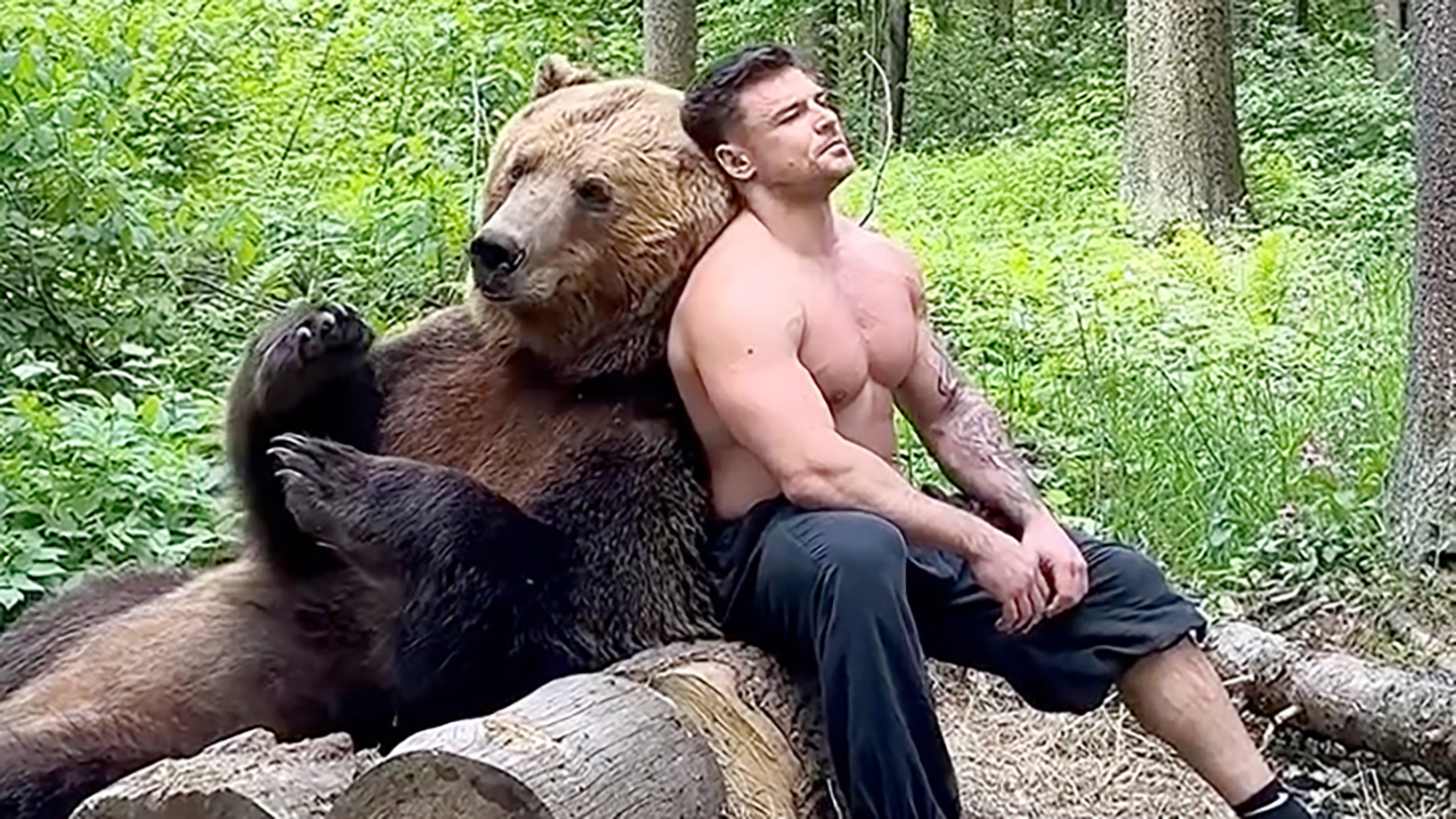 @tom.bear.tom