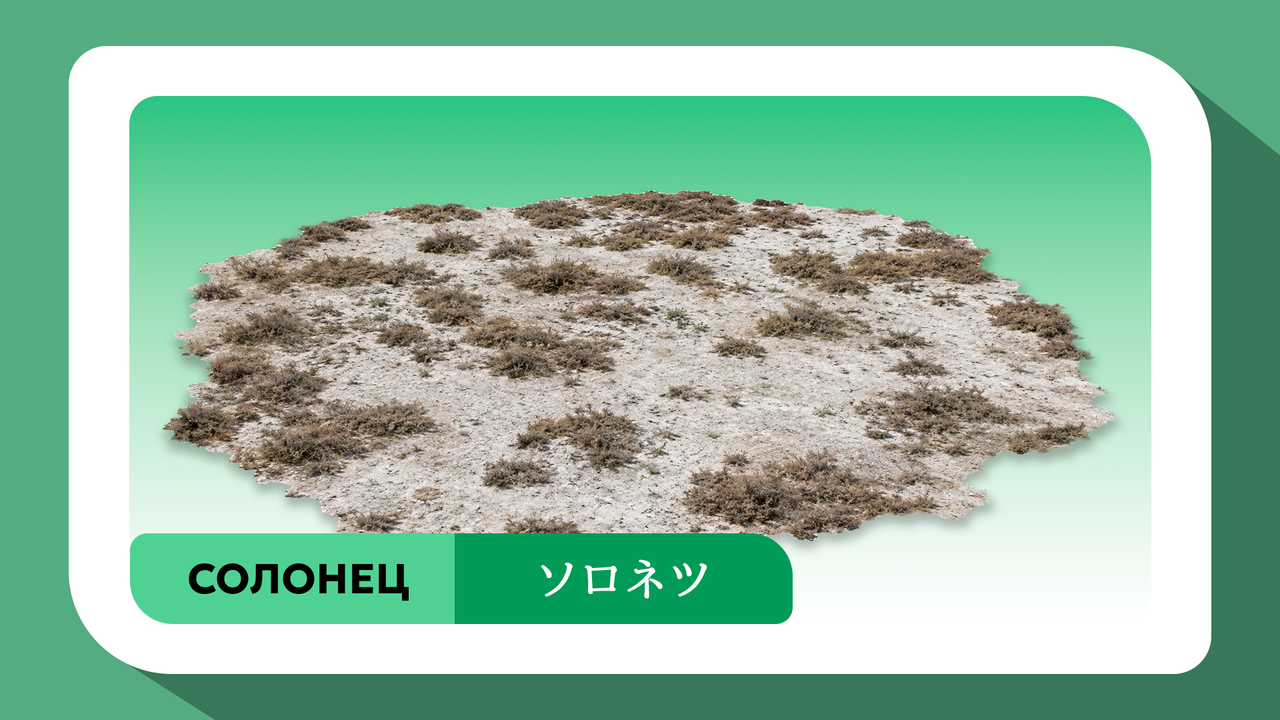 Open AI