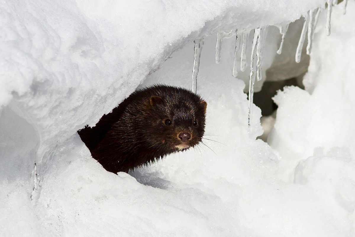 pilipenkoD / Getty Images