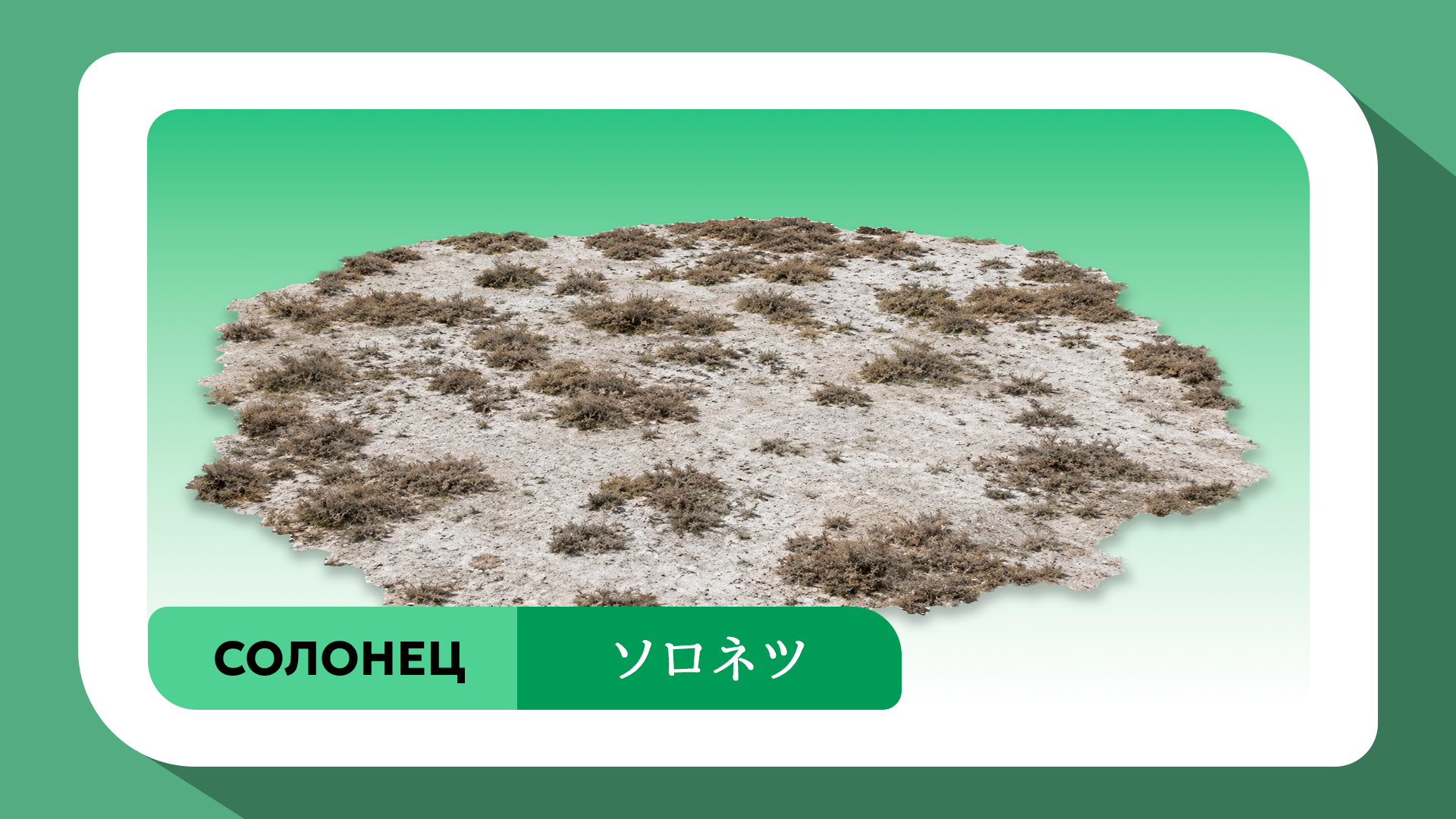 Open AI