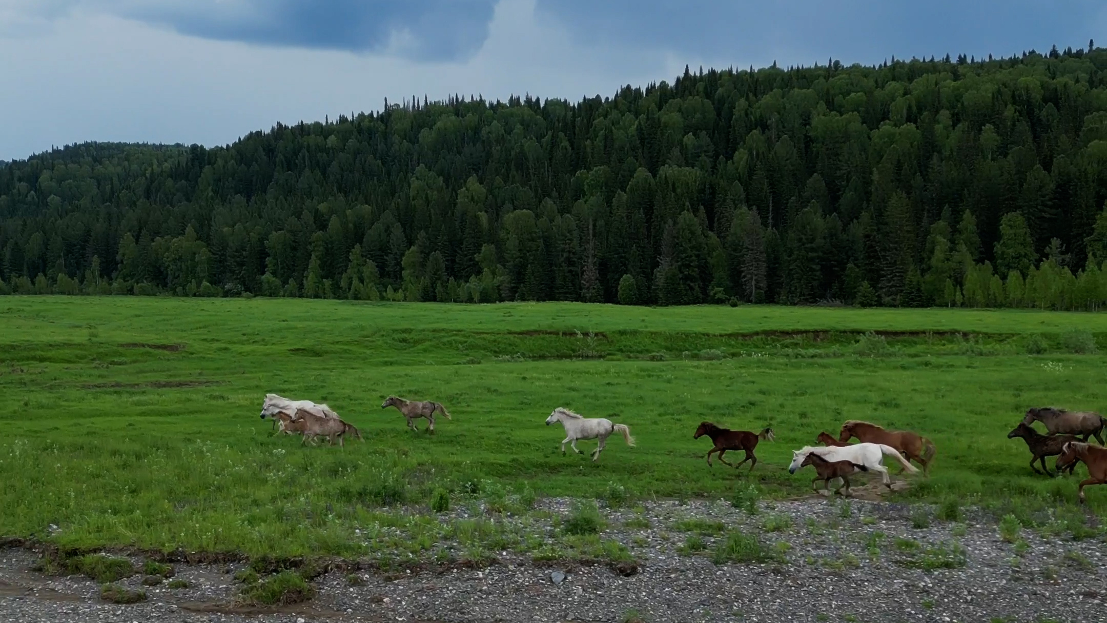 @visitkuzbass　提供