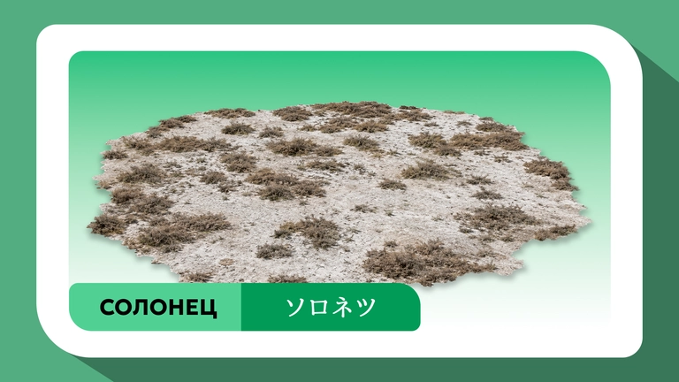 Open AI