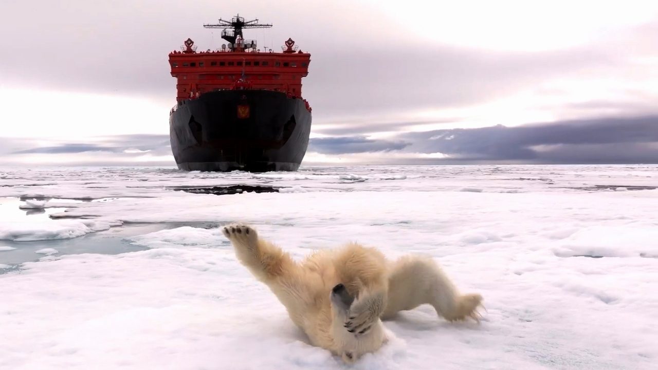@polar_travel_club